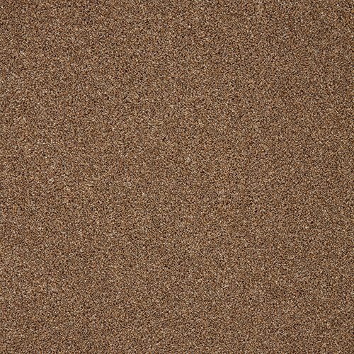 TRINITY RUSSET 5m
