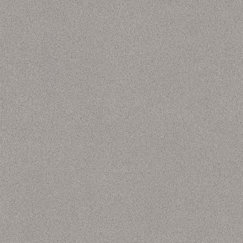 RHINOFLOOR PROFESSIONAL 70  2M CLIC WARM GREY 5626071