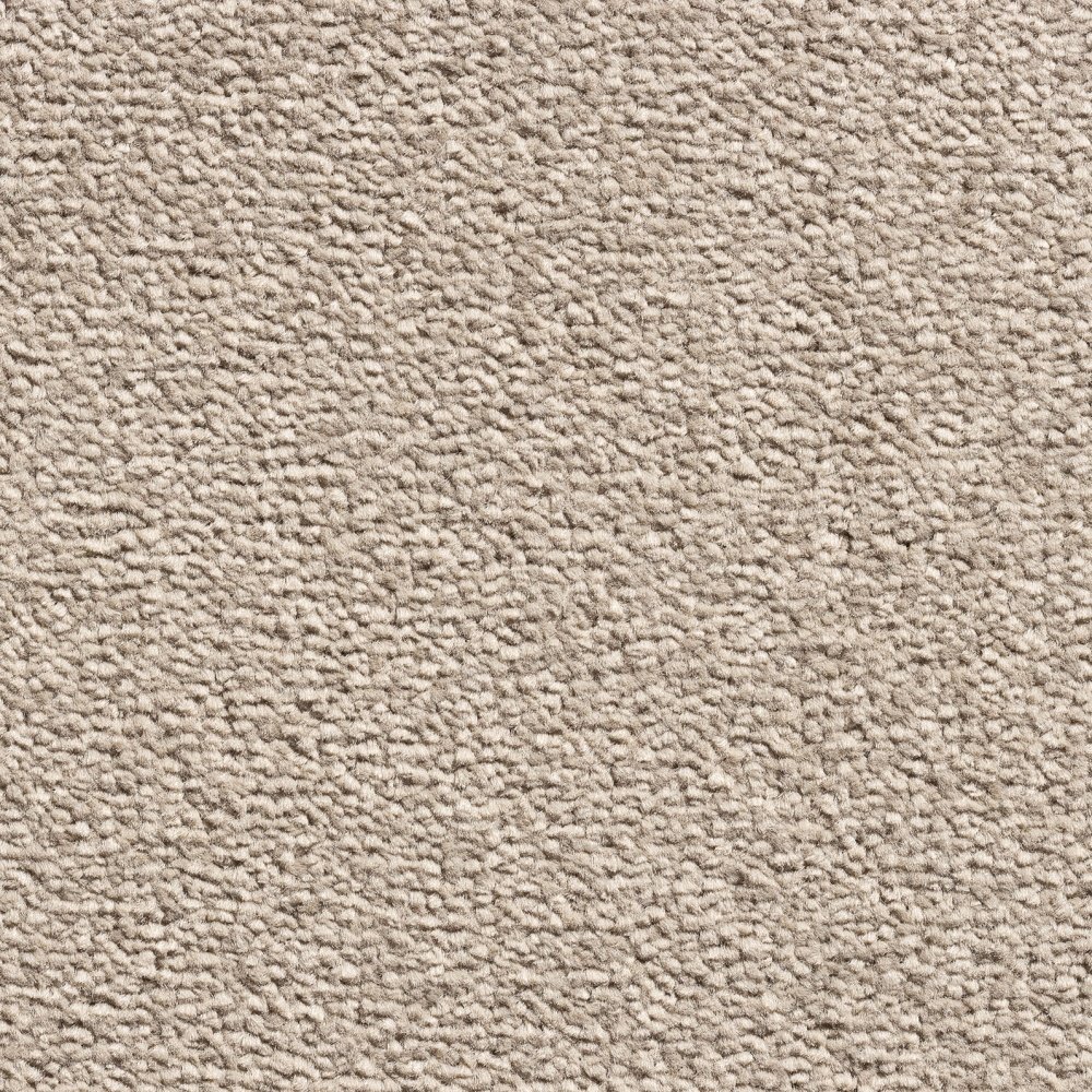 VELVET TOUCH TAWNY 72 5M