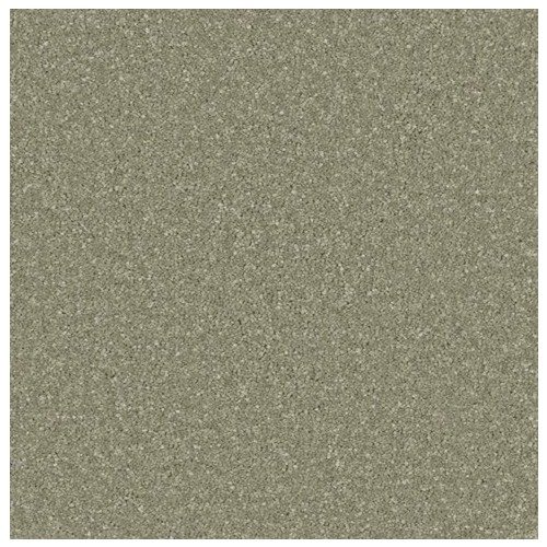 ZENITH 4M TUSCAN OLIVE
